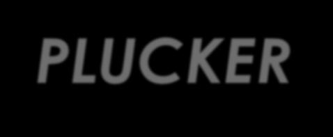 Tajuk