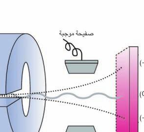 مقتربة من الصفيحة ورقة مالبس السالبة.