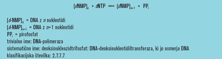 Encimi transferaze DNA