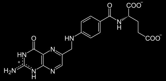 sintezi DNA in RNA ter v mehanizmih preprečevanja poškodb DNA. Sintetizira se iz folne kisline.