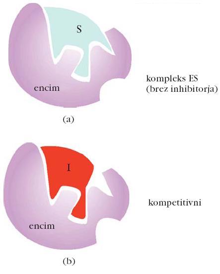 Reverzibilni inhibitorji Reverzibilni