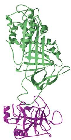 Kompetitivni inhibitorji Kot kompetitivne inhibitorje lahko srečamo