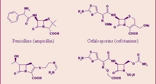 β-laktamski