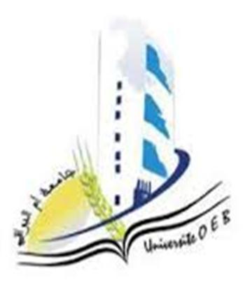 الجمهور ة الجزائر ة الد مقراط ة الشعب ة وزارة التعل م العال و البحث العلم جامعة العرب بن مه دي -أم البواق - كل ة العلوم االقتصاد ة و التجار ة وعلوم التس ر الشعبة: العلوم االقتصاد ة رقم التسج ل:.