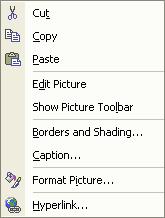 na Format Picture(Oblikuj sliku ) gornjeg izbornika, ili odabirom Format/Picture.