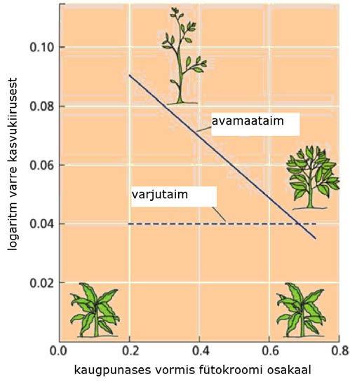 Küsimus 17 Joonisel on kujutatud kaugpunases vormis fütokroomi (P Fr) mõju avamaataimede ja varjutaimede pikkuskasvule.