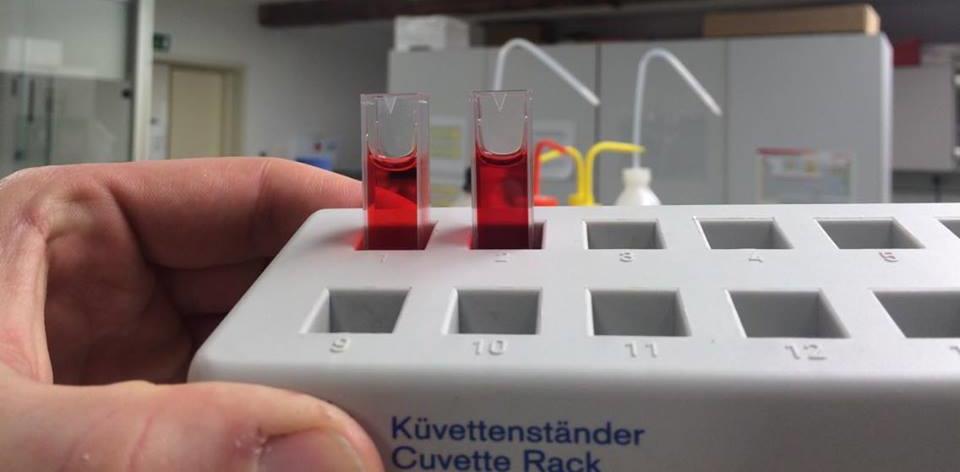 Pripravili smo slepi vzorec z deionizirano vodo, s katerim smo umerili napravo. Zgolj informativno smo sprva pripravili 5x in 10x razredčitvi s KCl pufrom v kiveti.