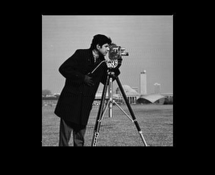 f = imread('cameraman.