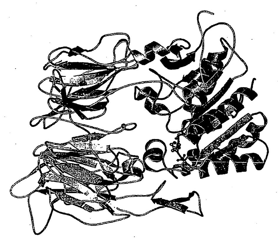HR P08009 T3