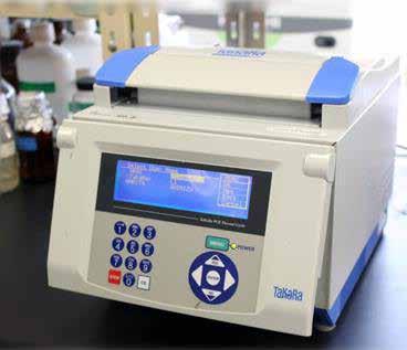 زراعت آزمایشگاه PCR(Polymerase Chain Reaction( آنزیم و اولیگونوکلوئوتیدی پرایمر دو بهکارگیری با انتخابی طور به ازDNA قطعهای روش این در کند.