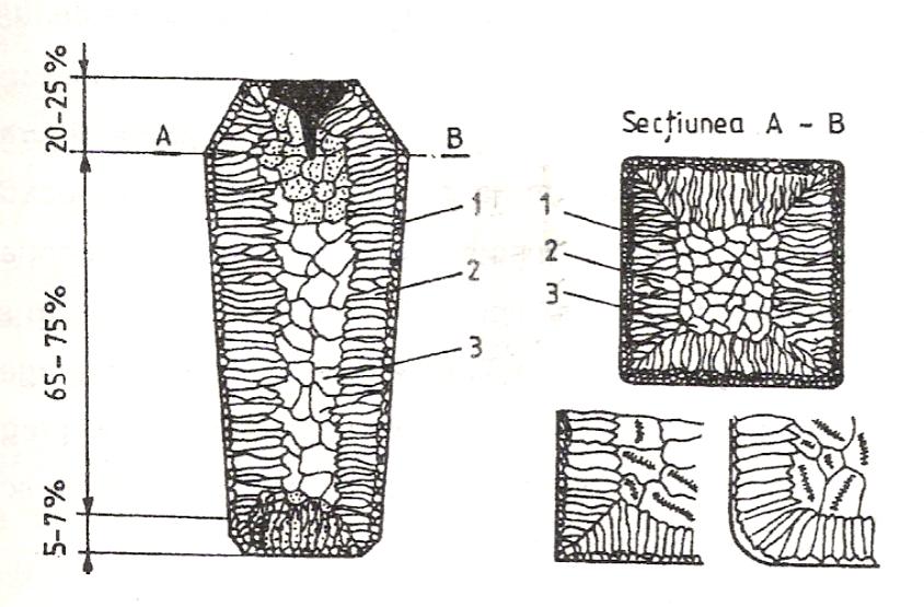 Structura lingoului; partea superioara = maselota 1 zona grauntilor