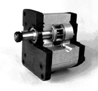Fig. 1.1 Pomp\ cu ro]i din]ate. 1.5.