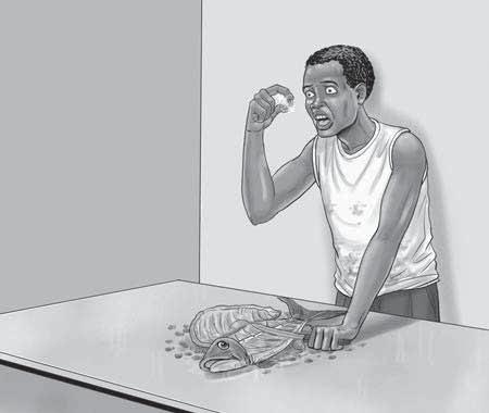 Wiki ya 14: Siku ya 4 Wiki ya 14: Siku ya 3 na 4 l l l l l l Wiki ya 14: Siku ya 3 na 4 68 69 Vyakula Vyakula l ll ll Jina la herufi na sauti N/T/U: Eleza wanafunzi jina la herufi dh.