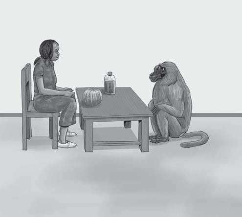 Mwalimu na Wanafunzi: ti ki ti - tikiti. Hatua ya 3: Mwalimu: Mtafanya peke yenu sasa. Wanafunzi: ti ki ti - tikiti. (Tumia hatua ya 1-3 kufunza maneno haya: kima, mkuu, makaa) Eleza wanafunzi wasome kwenye vitabu vyao ukurasa wa 13.