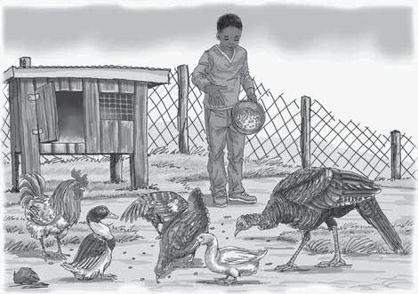 Wiki ya 15: Siku ya 2 Wiki ya 15: Siku ya 1 na 2 Ndege na wanyama Kusoma maneno marefu: Andika neno wamechangia ubaoni.