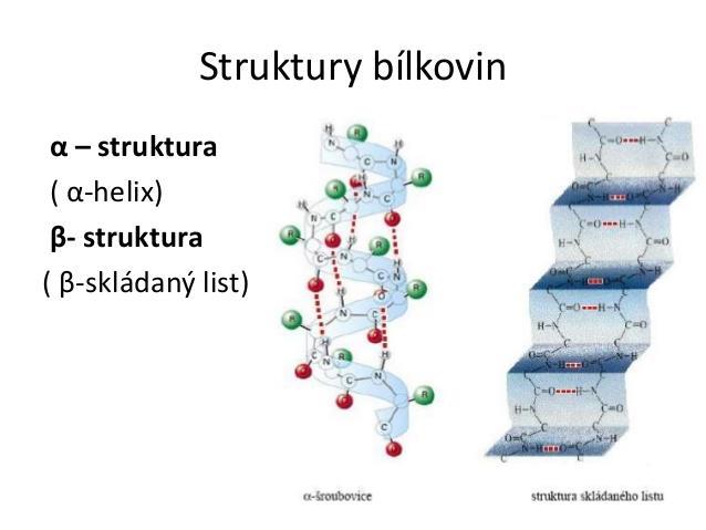 Polypeptidový reťazec je usporiadaný do pravotočivej závitnice. Postranný reťazec je situovaný smerom von zo závitnice a závity sú stabilizované vodíkovými väzbami.