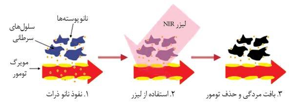 کاربردها بیشترین پوستهای و میلهای کروی نانوذرات طال نانوذرات بهکارگیری برای دارند. سرطان درمان در را ساختارهای با را آنها است الزم بیولوژیکی مواد در طال نوع این برای عمده روش دو نمود.