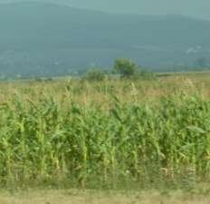 PROJEKTI I BUJQËSISË DHE ZHVILLIMIT RURAL Datat kryesore: Aprovimi: 14 qershor 2011 Hyn në fuqi: Mbyllja: 31 korrik 2017 Financimi në milion dollarë amerikanë : Financuesi Financimi Të paguara IDA