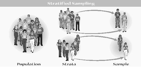 Mostër e shtresëzuar/stratifikuar Zvogëlon gabimin e mostrës; Shtresa ose stratumi është nënbashkësi e popullimit që e ka më së paku një karakteristikë të përbashkët (femra, meshkuj, ose menaxher dhe