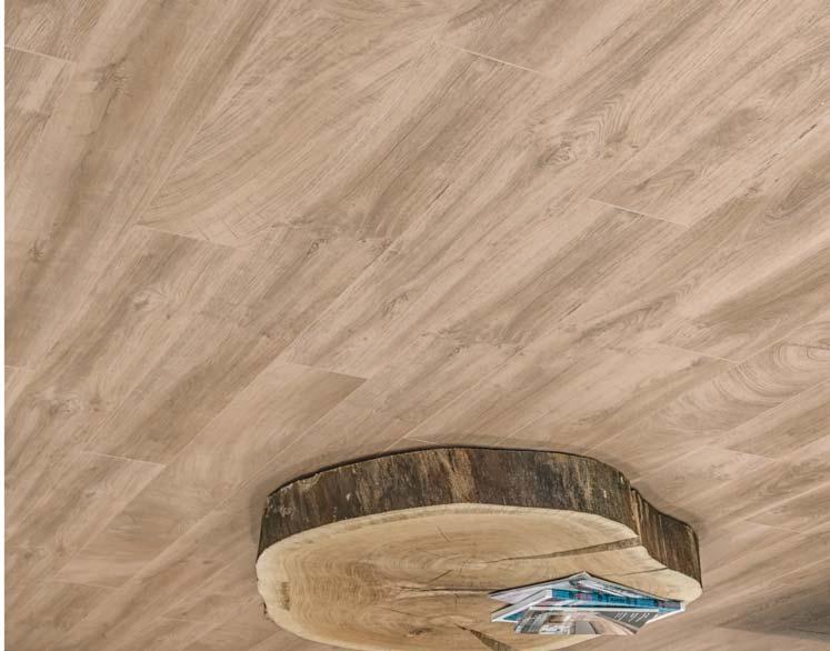 ENDgrain laminatni podi Skrita lepota narave Povsem nova zasnova dekorjev z imenom ENDgrain z videzom prečnega prereza debla predstavlja dušo drevesa.