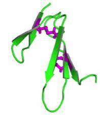 OrganizacijadomenproteinovECM FN1$ FN2$ FN$ fibrin$ kolagen$ FN$ FN$ FN3$ FN$ heparin$ sindekan$ fibrin$ N$ C$ 1$ 5$