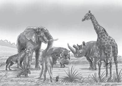 Wiki ya 17: Siku ya 5 mbo ge nya bu i te mba ka nde m si ni Ndege na wanyama Jedwali la silabi [N] Chora jedwali la silabi. Soma silabi zote pamoja na wanafunzi.