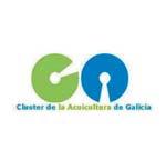 - - Os sectores clusterizados facturan o equivalente ao 75%