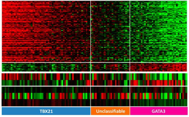Periférne T-bunkové lymfómy, NOS - veľmi heterogénna skupina lymfómov - snaha vyčleniť zo spektra ďalšie typy >>> provizórne jednotky - subtypizácia najmä na základe genetických zmien 3 skupiny:
