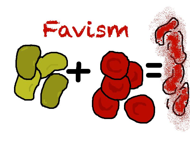 Favism Favismul reprezintă efectul hemolitic al ingestiei de boabe de fasole fava.