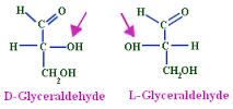 D (dextro) şi L (levo) gliceraldehida (C2 asimetric) Gruparea care dă apartenenţa la seria L sau D este gruparea alcoolică primară (de la C2 asimetric) Toate glucidele naturale