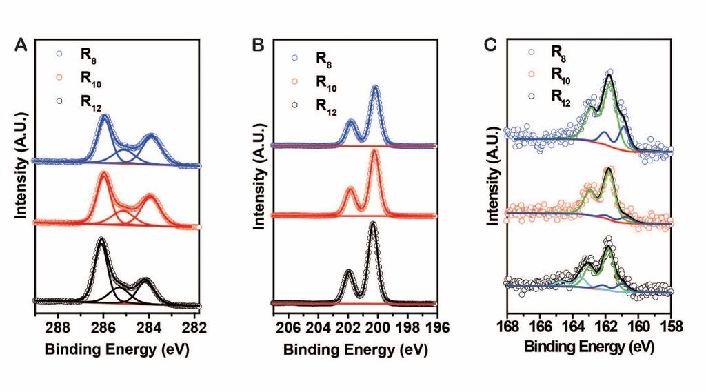 Supplementary Figure 13.