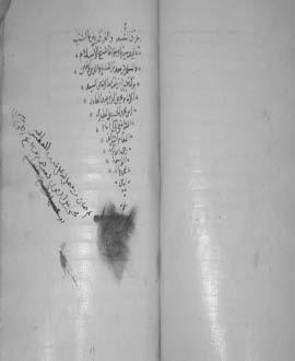 »نموذج من Uصور المخطوطة«الüصفحة الأولى من عنوان مخطوطة عرق الûشبه رقم 41 ع ر ق الûش ب ه