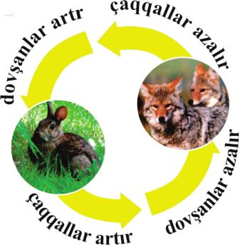 Triqonometrik funksialar və periodik hadisələr. Sağlamlıq. P = 00 0 cos 5t funksiası ilə sakit daanmış şəsin t (saniə) zamanındakı qan təziqini müəən etmək olar. a) funksianın periodunu müəən edin.