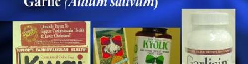 -Allii sativi bulbus Allium sativum, Alliaceae DOZIRANJE: - 600-1200 mg suvog ekstrakta -4 g