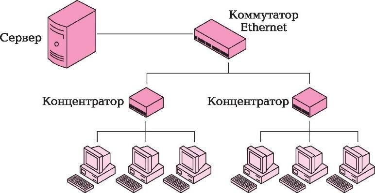 Бір қосылған құрылғыдан трафикті басқаларға тарататын тордан айырмашылығы коммутатор тек деректерді алушыға ғана жібереді.
