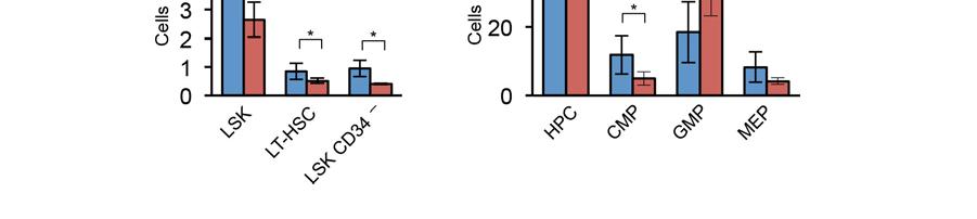 1 + ) recipient mice by flow cytometric analysis of peripheral blood at 6 weeks after transplantation.