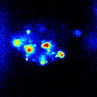 243 y ( µm) " 10 5 0 5 10 15 5 0 5 10 15 x