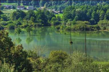 Simon Ferjan, SreËko CikaË, Stanka KrušiË in Štefan PavliË. 1. mesto: Aleksandra Frank Staniša - Pogled navzgor.