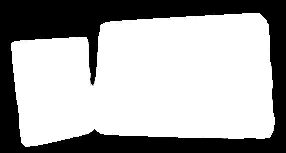 model PNI