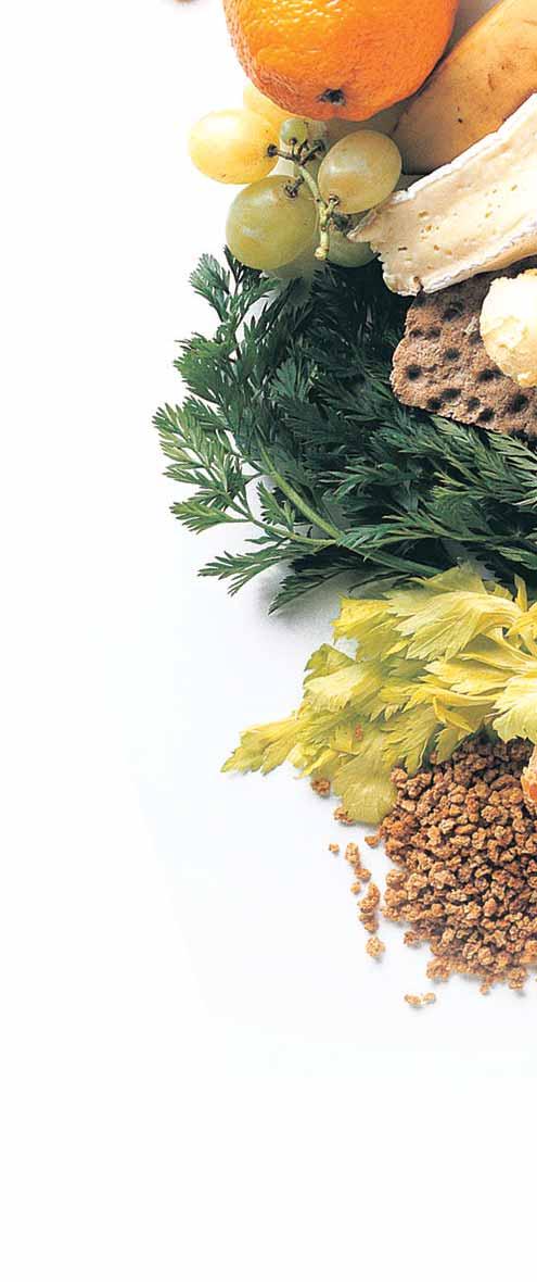 NOVizdelek 19 Rezultati mnogih energetsko omenjenih diet so kmalu lahko negativni, saj te diete omejujejo izbiro hrane.