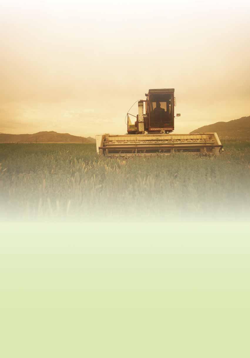 2 izdelek NUTRILITE je edina globalna znamka vitaminov in mineralov na svetu, ki goji, prideluje in predeluje rastline na potrjeno organskih posestvih v ZDA.