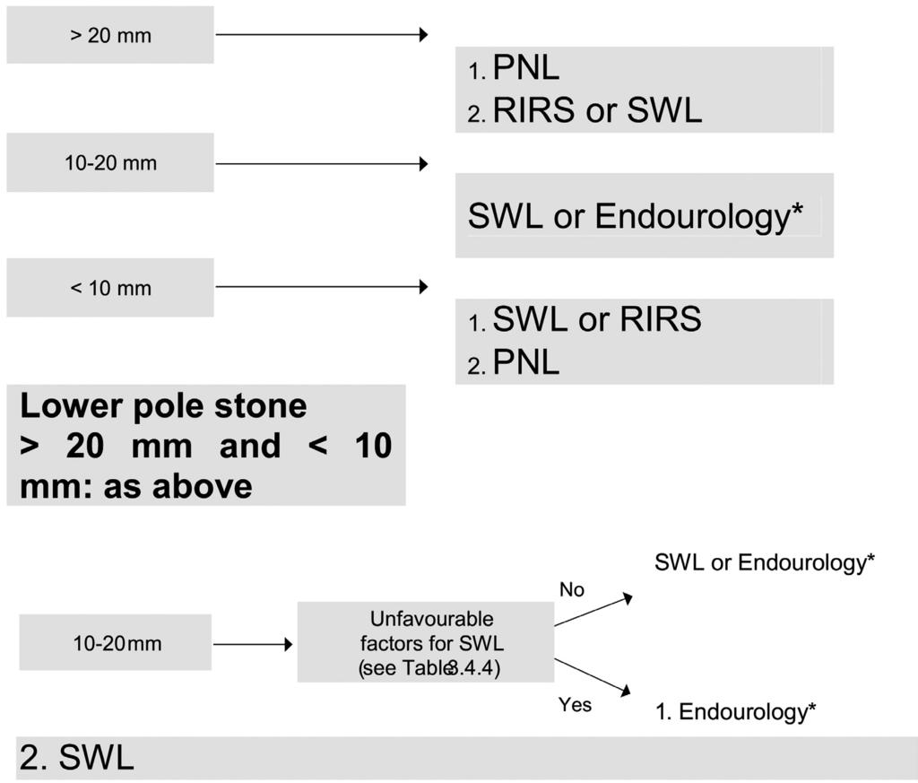 330 مجموعه دستورالعملهای اورولوژی نحوه برخورد با سنگهای کلیه The term Endourology encompasses all PNL and URS interventions.