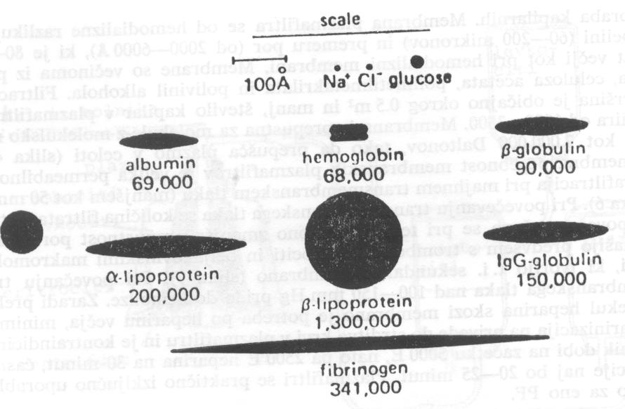 MPF Žilni pristop: - katetri in / ali periferne vene /AVF / AV grafti Antikoagulant: -heparin (40-50E/kgTT,>2,500E), 90% vezava na beljakovine - 4% citrat, ACD Pretok krvi: 50-100 ml/min Tlak v