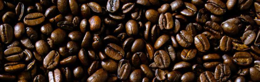 Kava z dodatkom garcinie in katehina KOFEIN PREHRANA Korenčkov Kako je to mogoče? Kofein razgrajuje maščobe v telesu in sprošča maščobne kisline, ki nato takoj izgorijo.