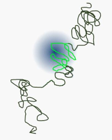 GENERAL PURPOSE FLUORESCENCE CORRELATION