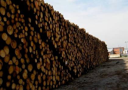 7.2.3.3.2. Истовар и складиштење дрвне биомасе на централном стоваришту Истовар дрвне биомасе обавља се камионским краном (слика 32) и том приликом сортименти се слажу у сложајеве (слика 33).