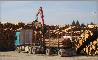 запремина. Слика 32. Истовар дрвне биомасе коришћењем камионског крана допремљена и усклади-штена због нижег нивоа влажности.