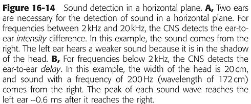 на звуците се подолги од ширината на главата) Разлики во јачината на звуците кои влегуваат во двете уши (над 2000 Hz;