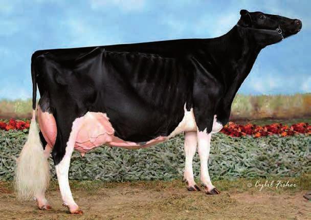 AMBAR BOS SHOTTLE AMBAR ET ES4116896523 - ESPM1536592-111711 Nac.: 1/1/28 aaa 324156 ICO 2.