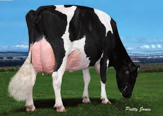 MÉRITO CARACTERES NETO 273 $ DÍAS ERTOS: STOP ENÓMICOS GICO 3.562 VENDAIRY STOP NL7673852 - ESPM9236844-1HO13 Nac.: 5/7/211 aaa 426531 1.682 58 -,2 % PROTEÍNA 44 -,9 % 115 (Fiab. 45 %) 11 (Fiab.
